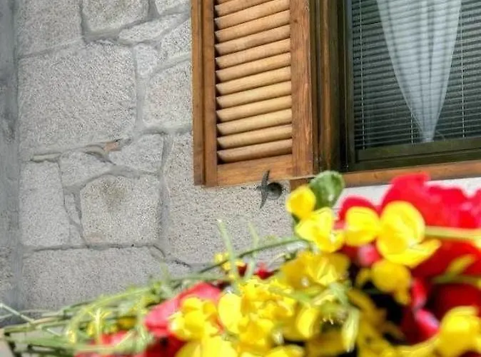 Szálloda Idasos Tasodalar